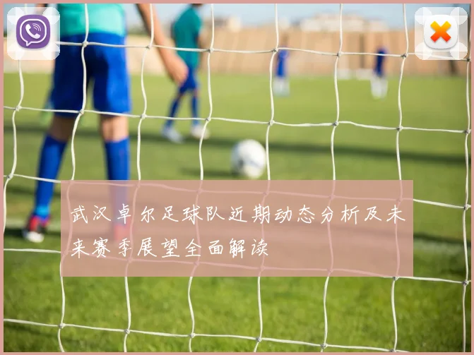 武汉卓尔足球队近期动态分析及未来赛季展望全面解读