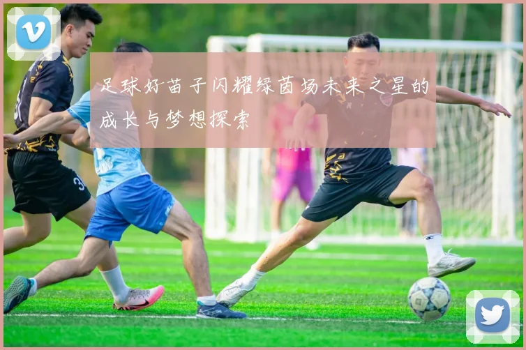足球好苗子闪耀绿茵场未来之星的成长与梦想探索